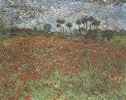 Vincent Van Gogh Field with Poppies (nn04) china oil painting artist